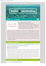 thumbnail of Veille_Territoires – En quelques clics 240 ext