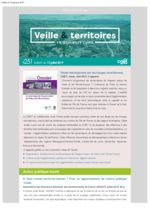 thumbnail of Veille & Territoires #251_ext