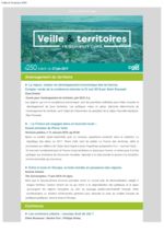 thumbnail of Veille_Territoires – En quelques clics 250 ext