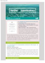 thumbnail of Veille_Territoires – En quelques clics 255 ext