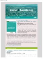 thumbnail of Veille_Territoires – En quelques clics 256 ext