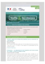 thumbnail of Veille & Territoires – 264_ext – Focus sur Covid-19 et cohésion des territoires