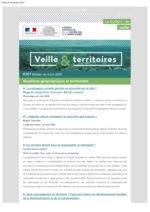 thumbnail of Veille et Territoires 267 externe