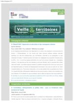 thumbnail of Veille_Territoires – 273_ext