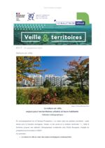 thumbnail of Veille & Territoires #317_ext