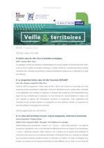 thumbnail of Veille & Territoires #318