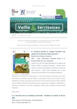 thumbnail of Veille & Territoires #323