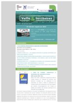 thumbnail of Veille & Territoires # 325