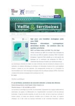 thumbnail of Veille & Territoires #333