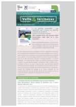 thumbnail of Veille & Territoires #338