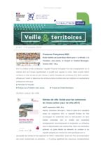 thumbnail of Veille & Territoires #341