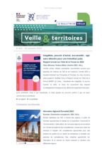 thumbnail of Veille & Territoires #342
