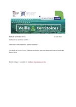 thumbnail of Veille & territoires #353